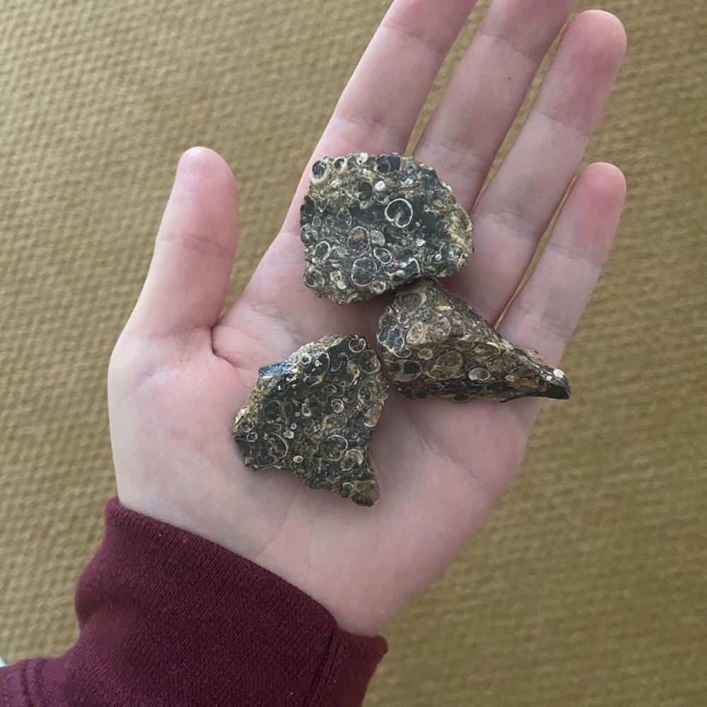 Leopardskin jasper rough/raw crystals